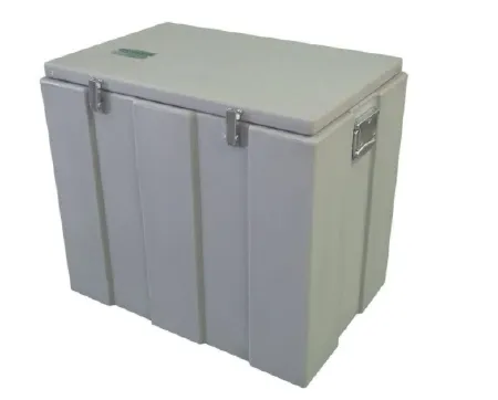 Sonoco Protective Solutions - Thermosafe - 300 - Dry Ice Storage / Transport Chest Thermosafe 19-1/8 X 25-1/4 X 28-1/8 Inch Outer Dimensions Gray Abs / Polyethylene 200 Lbs. Dry Ice