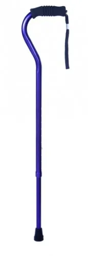 Essential Medical Supply From: W1344A To: W1344B - Desginer Offset Cane With Ribbed Handle - Amythest Bouquet
